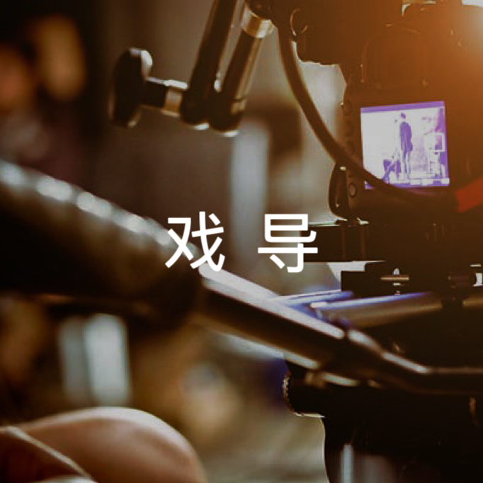 戏导